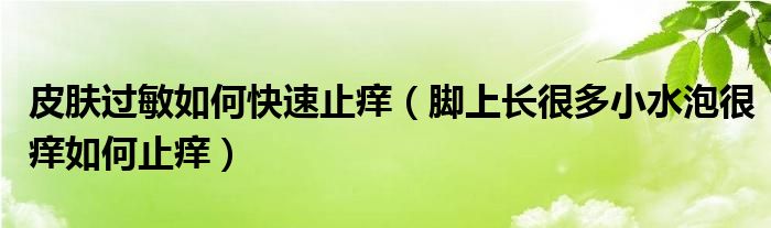 皮膚過(guò)敏如何快速止癢（腳上長(zhǎng)很多小水泡很癢如何止癢）