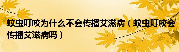 蚊蟲叮咬為什么不會(huì)傳播艾滋?。ㄎ孟x叮咬會(huì)傳播艾滋病嗎）