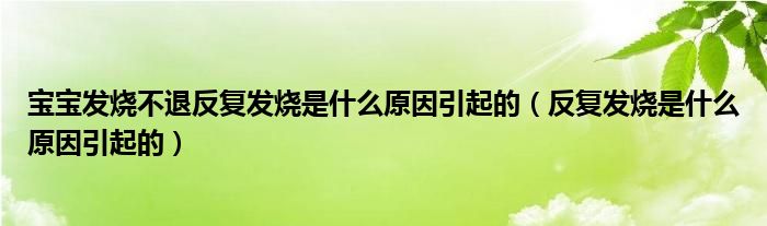 寶寶發(fā)燒不退反復(fù)發(fā)燒是什么原因引起的（反復(fù)發(fā)燒是什么原因引起的）