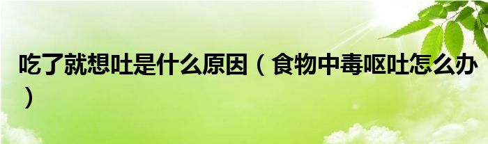 吃了就想吐是什么原因（食物中毒嘔吐怎么辦）