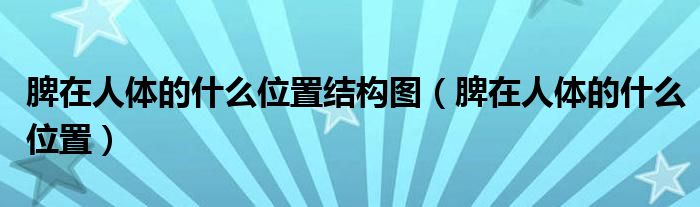 脾在人體的什么位置結(jié)構(gòu)圖（脾在人體的什么位置）