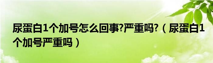 尿蛋白1個加號怎么回事?嚴重嗎?（尿蛋白1個加號嚴重嗎）