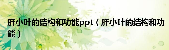 肝小葉的結(jié)構(gòu)和功能ppt（肝小葉的結(jié)構(gòu)和功能）