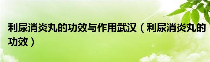 利尿消炎丸的功效與作用武漢（利尿消炎丸的功效）