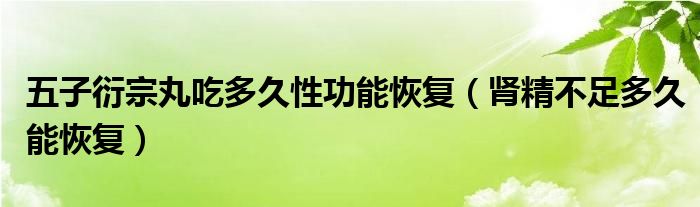 五子衍宗丸吃多久性功能恢復（腎精不足多久能恢復）