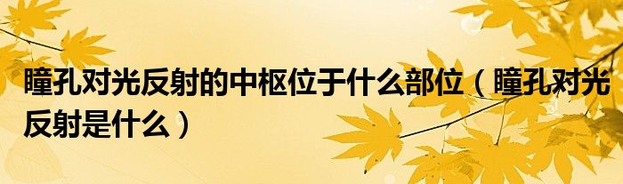 瞳孔對光反射的中樞位于什么部位（瞳孔對光反射是什么）