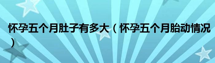 懷孕五個(gè)月肚子有多大（懷孕五個(gè)月胎動(dòng)情況）