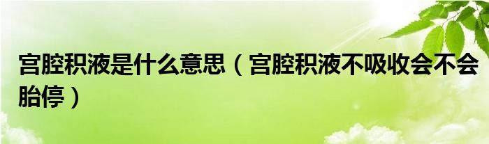 宮腔積液是什么意思（宮腔積液不吸收會(huì)不會(huì)胎停）