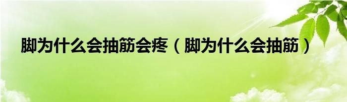 腳為什么會(huì)抽筋會(huì)疼（腳為什么會(huì)抽筋）