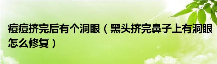 痘痘擠完后有個(gè)洞眼（黑頭擠完鼻子上有洞眼怎么修復(fù)）