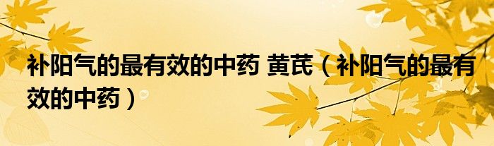 補(bǔ)陽(yáng)氣的最有效的中藥 黃芪（補(bǔ)陽(yáng)氣的最有效的中藥）