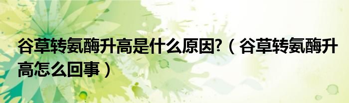 谷草轉(zhuǎn)氨酶升高是什么原因?（谷草轉(zhuǎn)氨酶升高怎么回事）