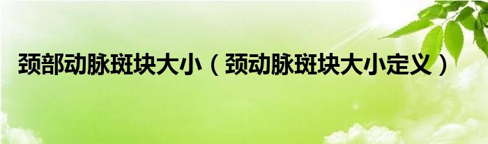 頸部動脈斑塊大?。i動脈斑塊大小定義）