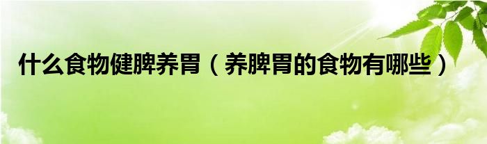 什么食物健脾養(yǎng)胃（養(yǎng)脾胃的食物有哪些）