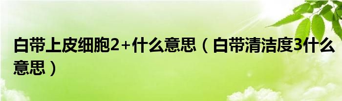 白帶上皮細胞2+什么意思（白帶清潔度3什么意思）