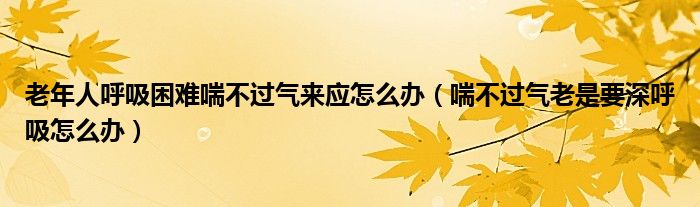 老年人呼吸困難喘不過氣來應(yīng)怎么辦（喘不過氣老是要深呼吸怎么辦）