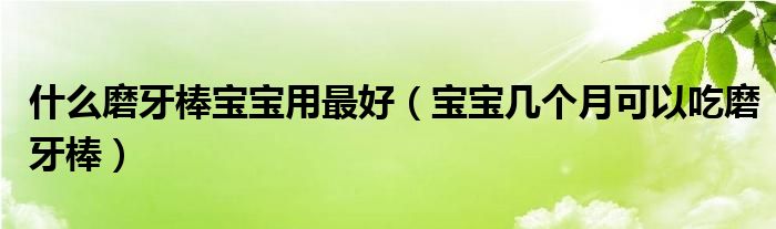 什么磨牙棒寶寶用最好（寶寶幾個月可以吃磨牙棒）