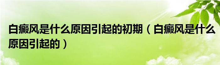 白癜風(fēng)是什么原因引起的初期（白癜風(fēng)是什么原因引起的）