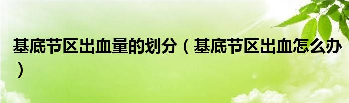 基底節(jié)區(qū)出血量的劃分（基底節(jié)區(qū)出血怎么辦）