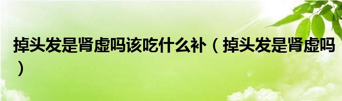 掉頭發(fā)是腎虛嗎該吃什么補（掉頭發(fā)是腎虛嗎）