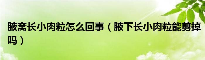 腋窩長(zhǎng)小肉粒怎么回事（腋下長(zhǎng)小肉粒能剪掉嗎）