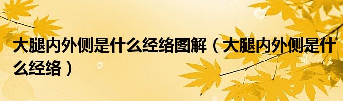 大腿內(nèi)外側(cè)是什么經(jīng)絡圖解（大腿內(nèi)外側(cè)是什么經(jīng)絡）