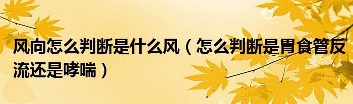 風(fēng)向怎么判斷是什么風(fēng)（怎么判斷是胃食管反流還是哮喘）