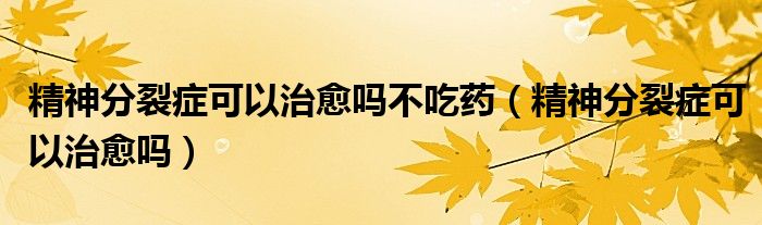 精神分裂癥可以治愈嗎不吃藥（精神分裂癥可以治愈嗎）