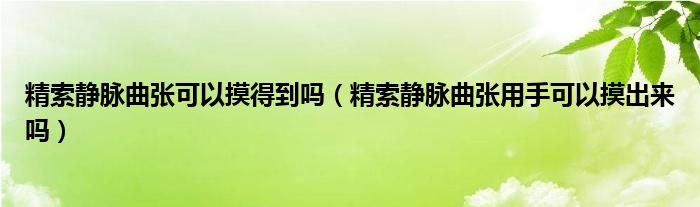 精索靜脈曲張可以摸得到嗎（精索靜脈曲張用手可以摸出來嗎）