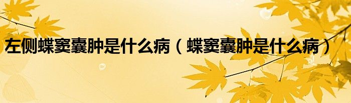 左側(cè)蝶竇囊腫是什么?。ǖ]囊腫是什么病）