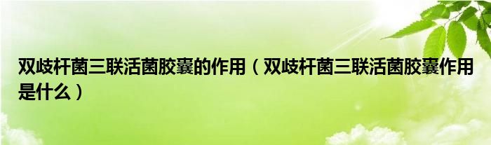 雙歧桿菌三聯活菌膠囊的作用（雙歧桿菌三聯活菌膠囊作用是什么）