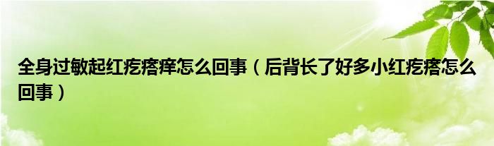 全身過敏起紅疙瘩癢怎么回事（后背長了好多小紅疙瘩怎么回事）