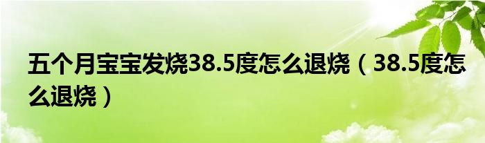 五個(gè)月寶寶發(fā)燒38.5度怎么退燒（38.5度怎么退燒）