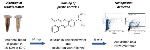 檢測(cè)血液中納米塑料的新方法