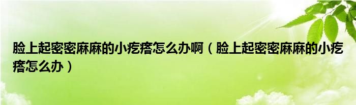 臉上起密密麻麻的小疙瘩怎么辦?。樕掀鹈苊苈槁榈男「泶裨趺崔k）