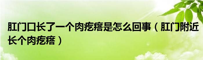 肛門(mén)口長(zhǎng)了一個(gè)肉疙瘩是怎么回事（肛門(mén)附近長(zhǎng)個(gè)肉疙瘩）