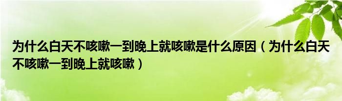 為什么白天不咳嗽一到晚上就咳嗽是什么原因（為什么白天不咳嗽一到晚上就咳嗽）