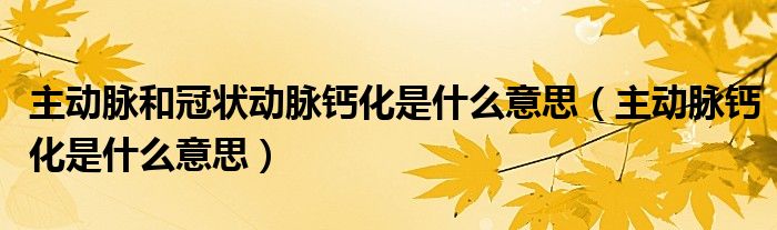 主動脈和冠狀動脈鈣化是什么意思（主動脈鈣化是什么意思）