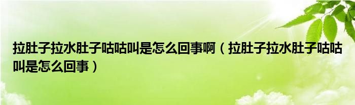 拉肚子拉水肚子咕咕叫是怎么回事?。ɡ亲永亲庸竟窘惺窃趺椿厥拢?class='thumb lazy' /></a>
		    <header>
		<h2><a  href=