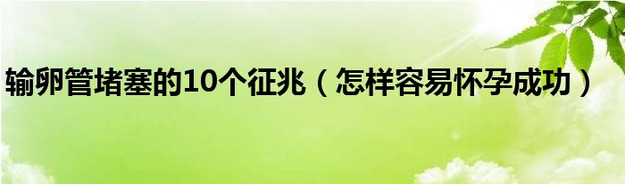 輸卵管堵塞的10個(gè)征兆（怎樣容易懷孕成功）