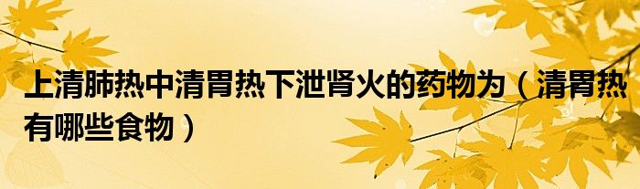 上清肺熱中清胃熱下泄腎火的藥物為（清胃熱有哪些食物）