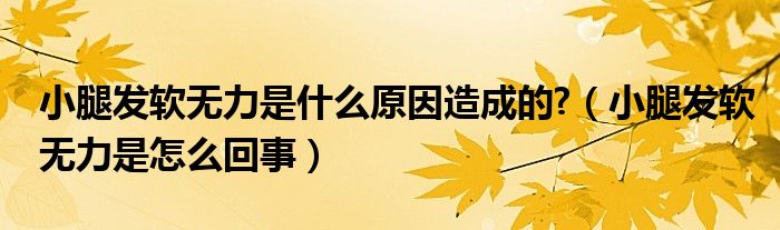 小腿發(fā)軟無力是什么原因造成的?（小腿發(fā)軟無力是怎么回事）