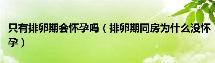 只有排卵期會(huì)懷孕嗎（排卵期同房為什么沒(méi)懷孕）