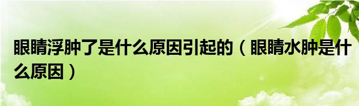 眼睛浮腫了是什么原因引起的（眼睛水腫是什么原因）