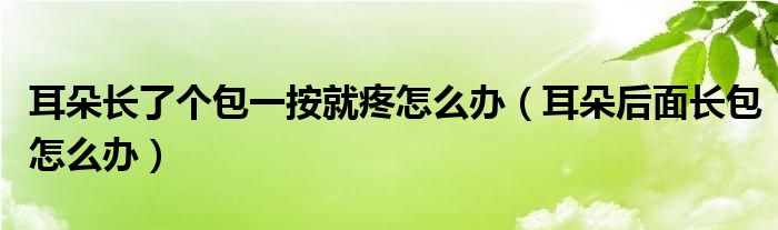 耳朵長了個(gè)包一按就疼怎么辦（耳朵后面長包怎么辦）