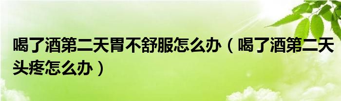 喝了酒第二天胃不舒服怎么辦（喝了酒第二天頭疼怎么辦）