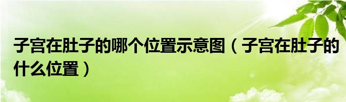 子宮在肚子的哪個位置示意圖（子宮在肚子的什么位置）