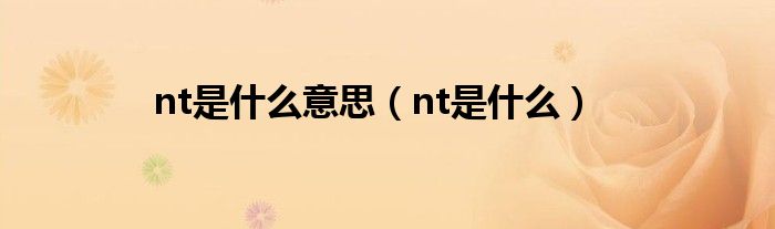 nt是什么意思（nt是什么）