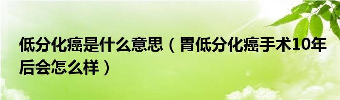 低分化癌是什么意思（胃低分化癌手術(shù)10年后會(huì)怎么樣）