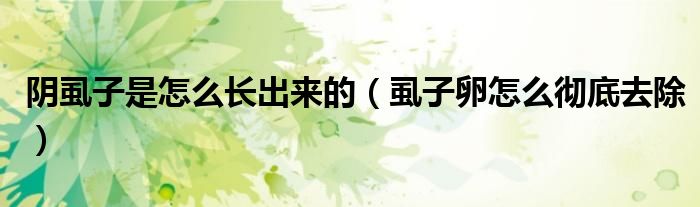 陰虱子是怎么長(zhǎng)出來(lái)的（虱子卵怎么徹底去除）